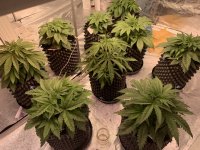 7480D8A4-02C0-4C30-A236-EED8F4D2B9DF.jpeg