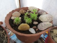IMG_1728.JPG