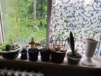 IMG_1735.JPG