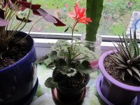 IMG_1853.JPG