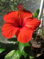 IMG_5542.JPG