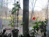 IMG_6317.JPG