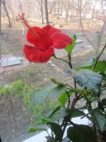IMG_6318.JPG