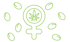 Без названия.png