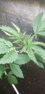 20191212_052957.jpg