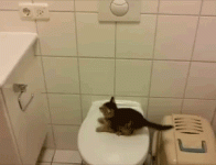 302350ff763ede7ef.gif