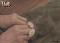 704510e547623846.gif