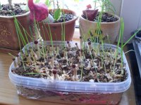 DSCN1539.JPG