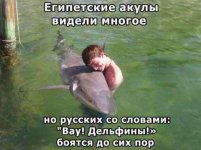 7767349ngn.jpg