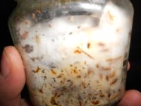 DSCN1568.JPG