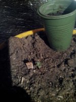IMG_20130314_231341.jpg