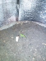IMG_20130314_231348.jpg