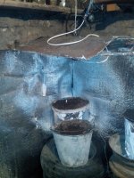 IMG_20130314_235759.jpg