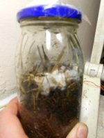 DSCN1609.JPG