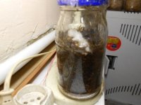 DSCN1613.JPG