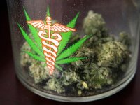 1363808980_1026medicalmarijuana01_t653.jpg
