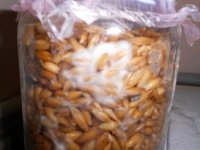 DSCN1620.JPG