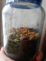 DSCN1625.JPG