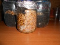 DSCN1628.JPG