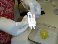 1364568050_drug-test_0.jpg