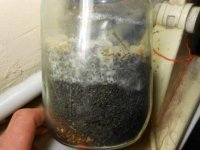 DSCN1655.JPG