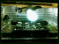 IMG_20130403_010647.jpg