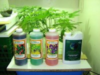 1365073353_general-hydroponics.jpg