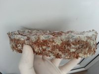 20130407_090225.jpg