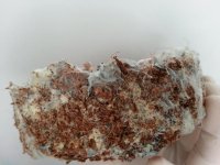 20130407_090235.jpg