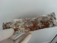 20130407_090248.jpg
