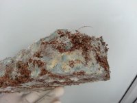 20130407_090253.jpg