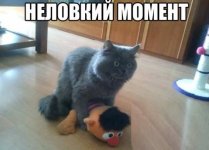 83Ejzez9OY0.jpg