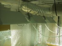 100_1662.JPG