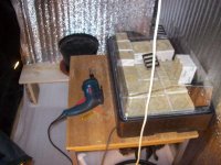 100_1678.JPG