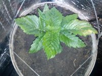 IMG_20130405_225518.jpg