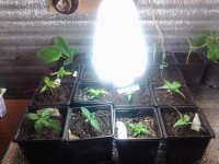 20130409_224347.jpg