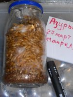 DSCN1690.JPG