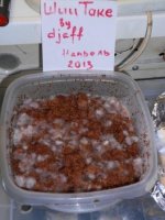 DSCN1687.JPG