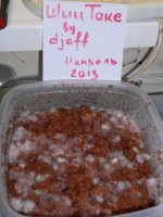 DSCN1688.JPG