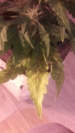 20191216_074955.jpg