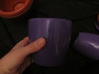 IMG_6622.JPG