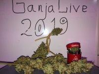 IMG_0719.JPG