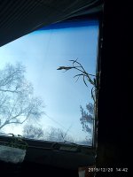 IMG_20191220_144235.jpg