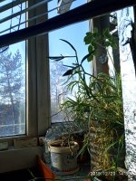 IMG_20191220_143933.jpg