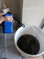 IMG_20191221_080434.jpg