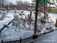 IMG_20191222_151619.jpg
