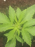 20191223_064946.jpg