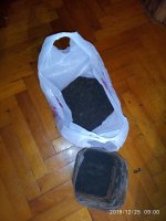 IMG_20191225_090024.jpg
