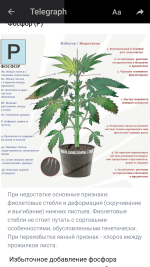 Screenshot_20191225-181849.png