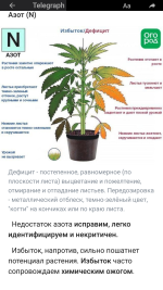 Screenshot_20191225-182211.png